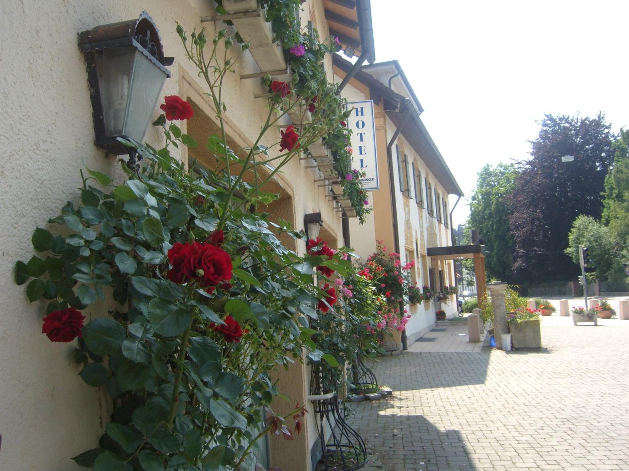 Hotel Gasthof Stern Mindelheim Εξωτερικό φωτογραφία